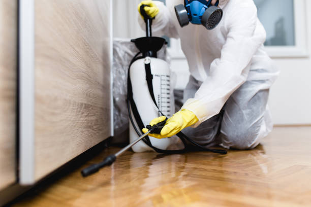 Pest Prevention Services in Village Of The Branch, NY