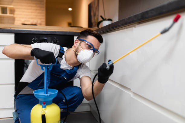 Best Affordable Pest Control Services  in Village Of The Branch, NY