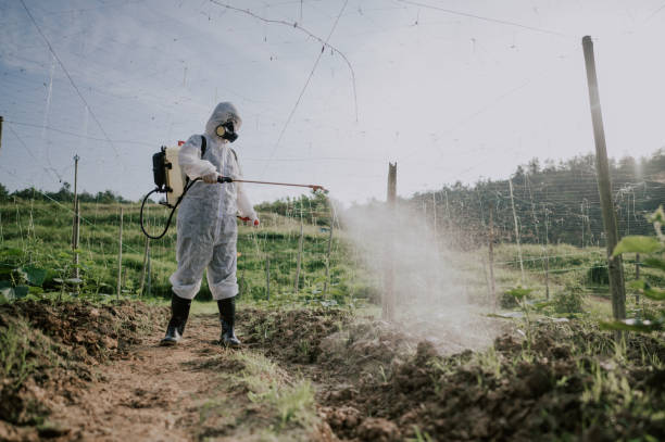 Best Local Pest Control Services  in Village Of The Branch, NY
