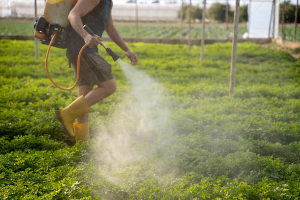 Best Commercial Pest Control Services  in Village Of The Branch, NY