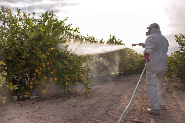 Best Pest Control Near Me in Village Of The Branch, NY
