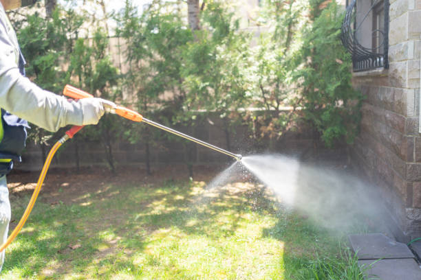Best Pest Inspection Near Me  in Village Of The Branch, NY