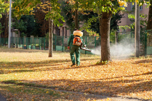 Best Pest Prevention Services  in Village Of The Branch, NY