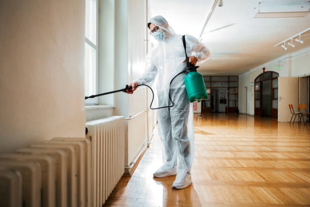 Best Termite Control Services  in Village Of The Branch, NY