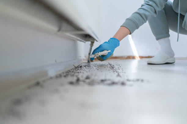 Best Residential Pest Control  in Village Of The Branch, NY